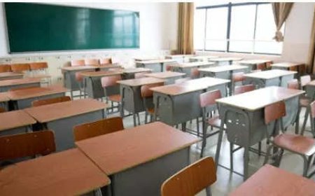 QS Executive MBA Rankings 2024: IIM Bangalore ranks 41st globally, 1st in the country