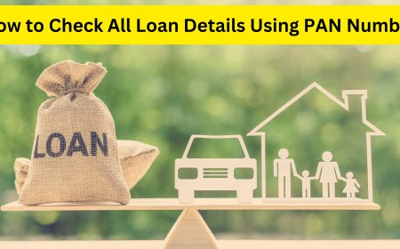 How to Check All Loan Details Using PAN Number: A Comprehensive Guide