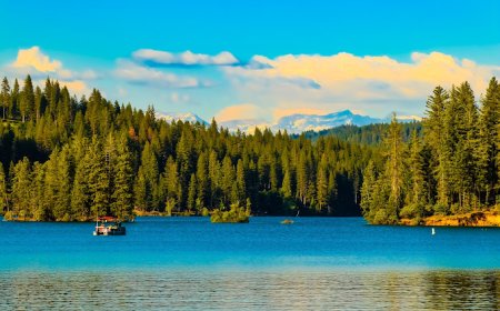 best fishing place in jankinson lake