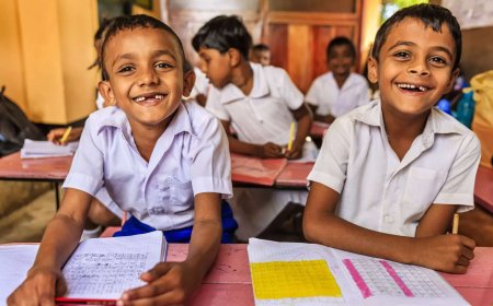 Urban-Rural Disparity in India’s Primary Education Enrollment: What Makes Urban Parents Turn to Private Schools Despite National Preference for Public Schools?