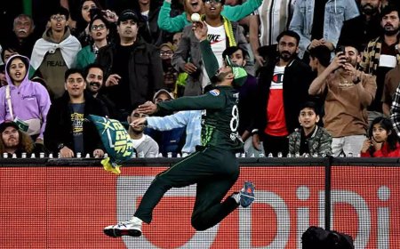 Watch: Irfan Khan's stunning catch after valiant effort goes in vain