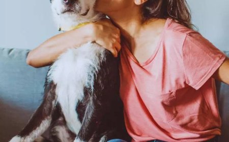 8 pets that are best-suited for apartments