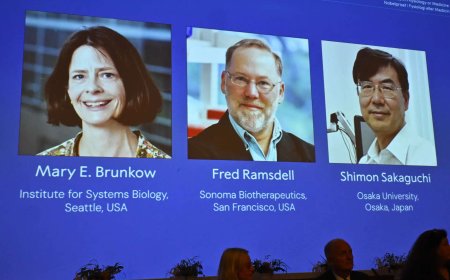 Meet the 2025 Nobel laureates in Physiology: Degrees and labs that shaped their careers