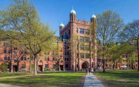 How much does it cost to study English Literature at Yale University?