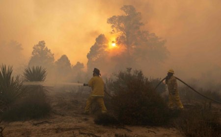Wildfire in Namibia's flagship park contained, says minister