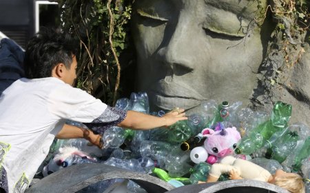 How healthy is our planet?