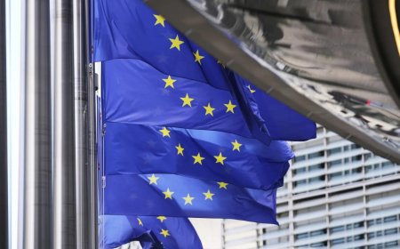 EU proposes new one-year delay to anti-deforestation rules