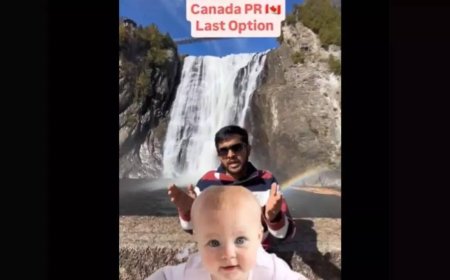 'Parasite class': Outrage over Indian influencer asking people to get Canada PR through babies, 'as last option'