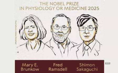 Nobel Prize 2025 in Physiology or Medicine awarded: Who are the winners, why they won