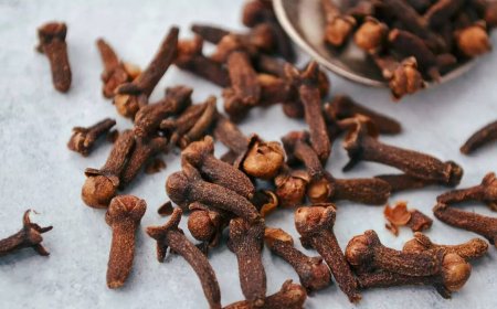 How eating a single clove daily can improve heart health and manage cholesterol naturally