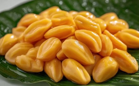 7 surprising health benefits of jackfruit seeds you need to know