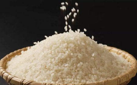 Stop eating fake rice! Simple tricks to detect adulteration fast