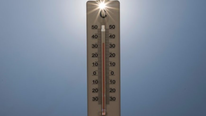 Heat-related deaths in Spain up 88% from last year: Health ministry