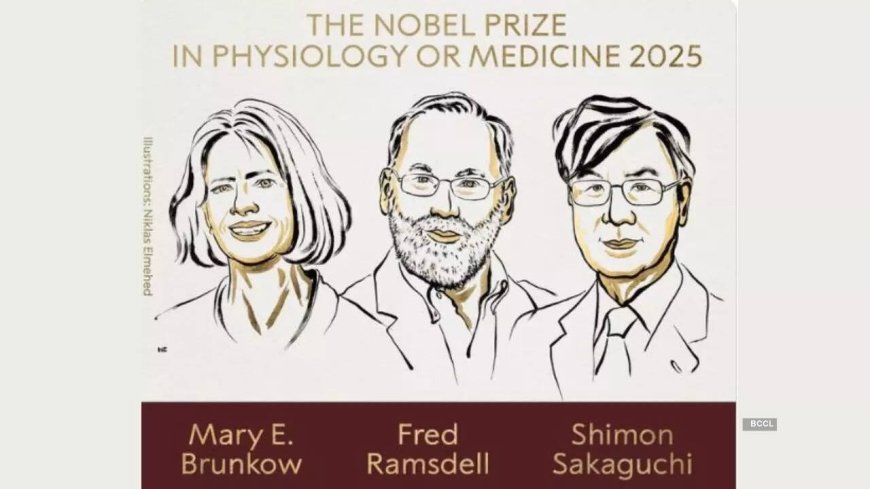 Nobel Prize 2025 in Physiology or Medicine awarded: Who are the winners, why they won
